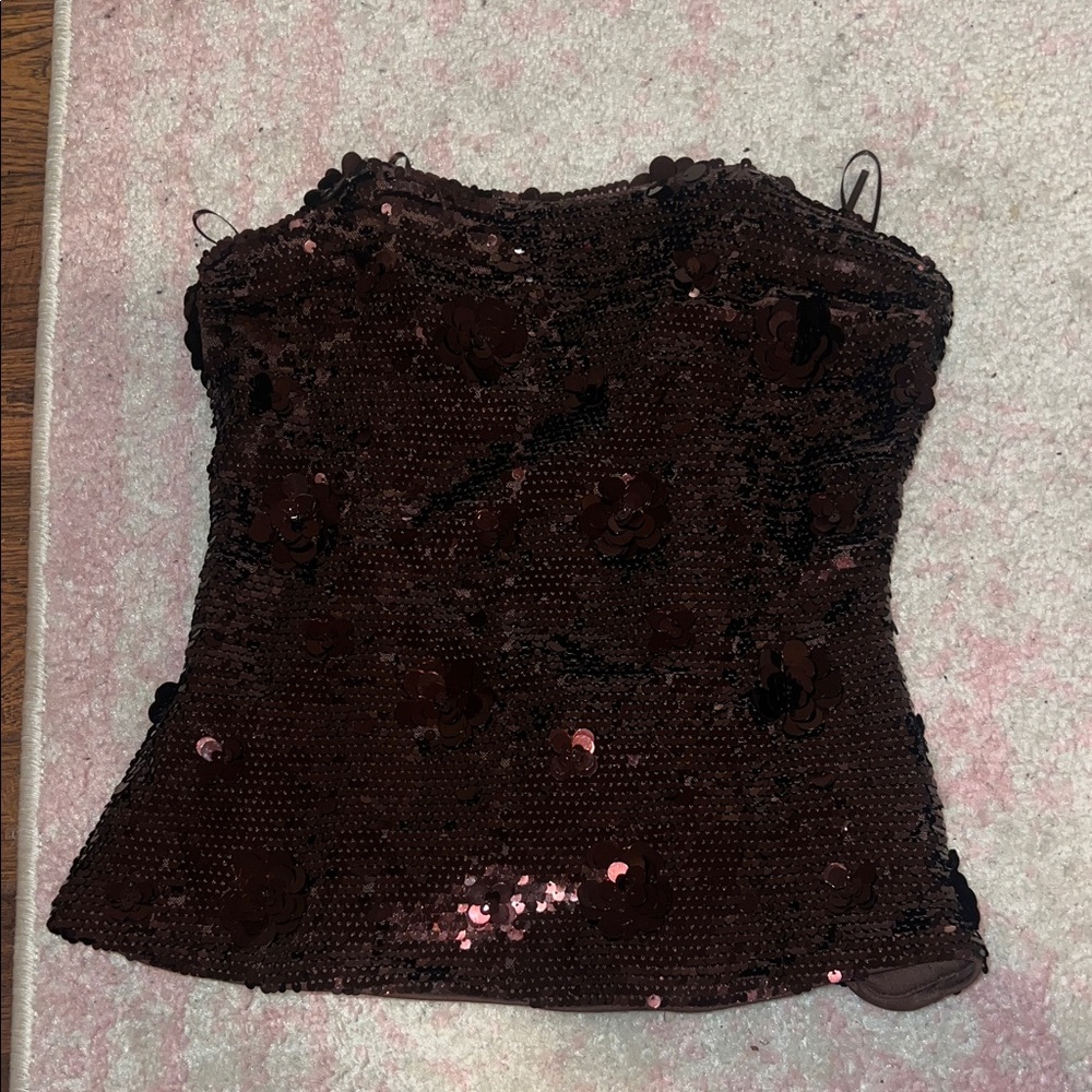 Zara Brown Sequin Embellished Top